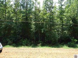 374 Baywood Vista Drive