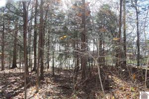 Lot 23D Rockcastle Lakeshore Drive