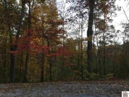 lot 24 Woodland II