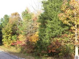 lot 25 Crosscreek Rd