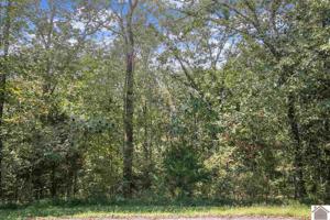 Lot 86 Blackhawk Ln