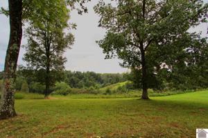 Lot 5 Rose Lane