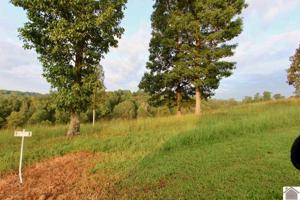 Lot 8 Rose Ln