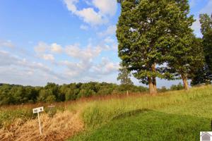 Lot 9 Rose Lane