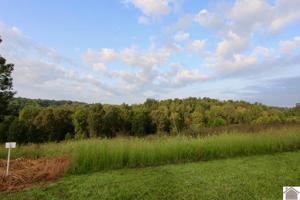 Lot 11 Rose Lane