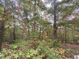 Lot 408 Black Locust Drive