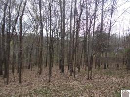 C12 Shawnee Trail