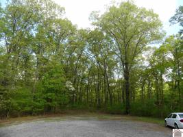 #599 Cliffwood Ln  (Lot # 79)