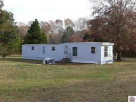 856 Wildcat Drive