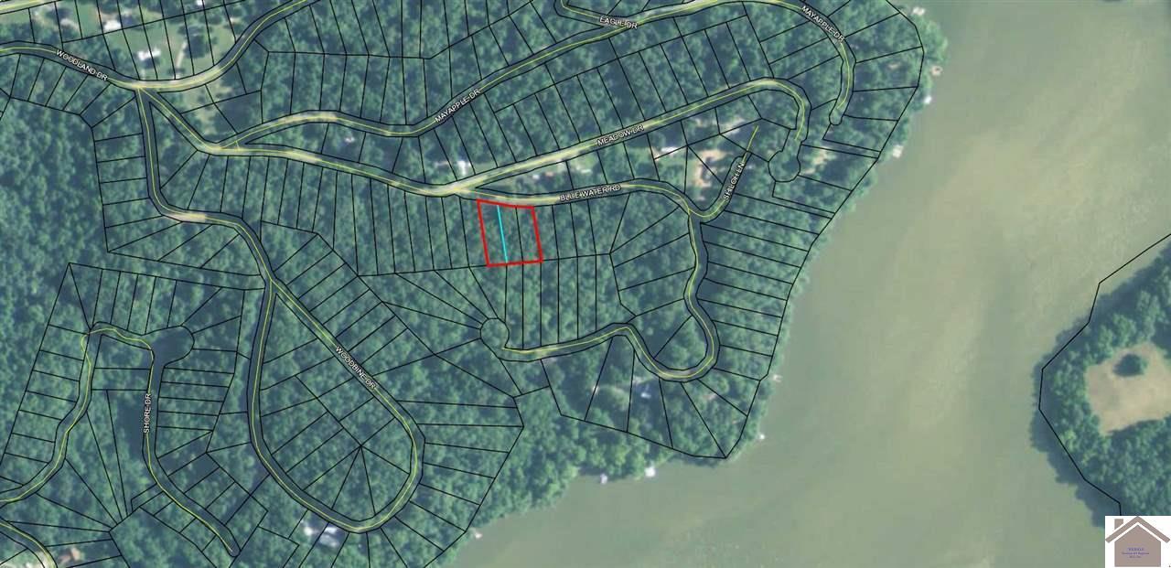 Image 1: Image 1