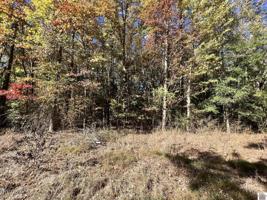 00 Myrtle Road, Lots 377 & 378