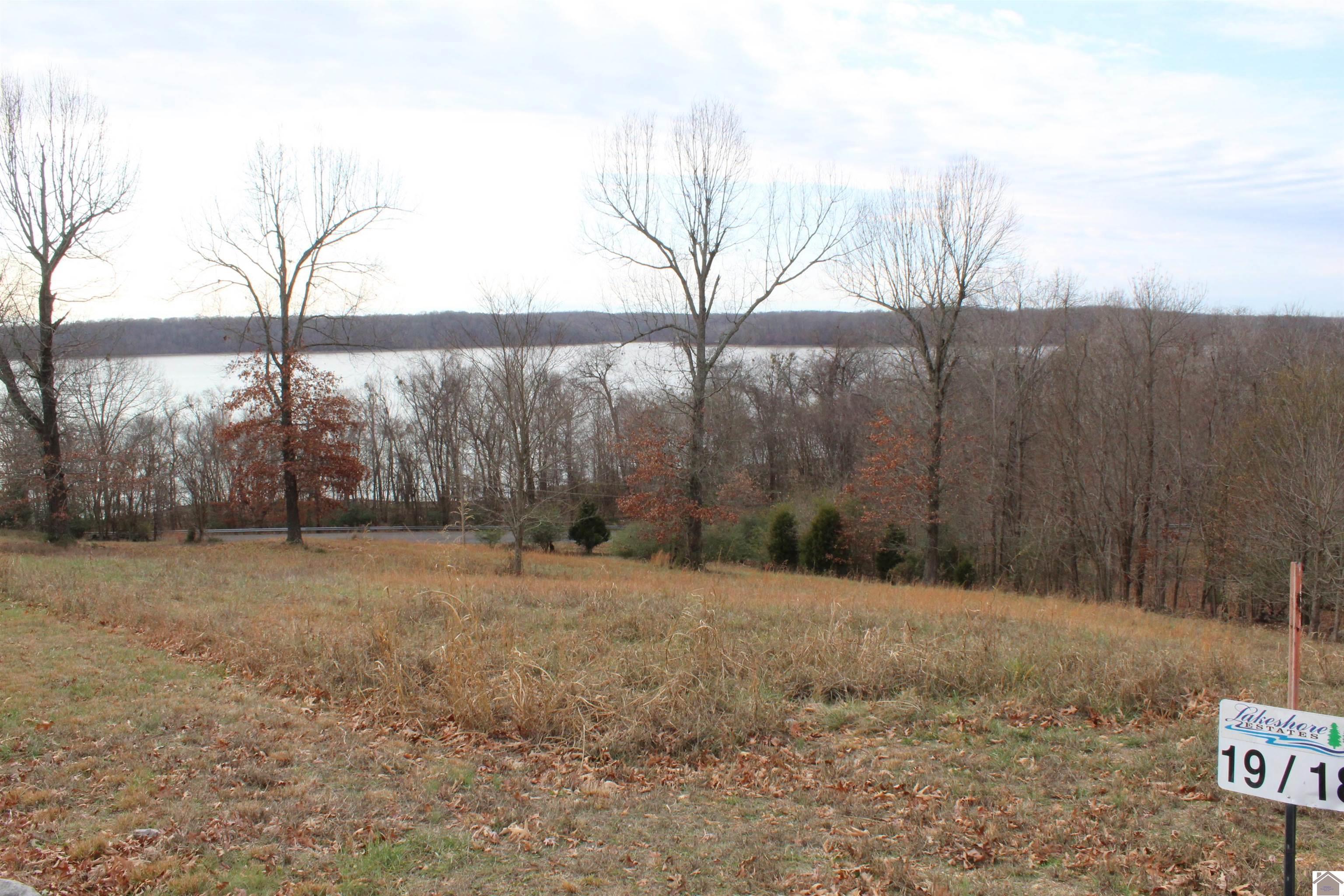 Image 1: Image 1