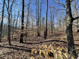 00 Woodfield Estates Dr.