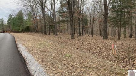 000 Deepwood Drive