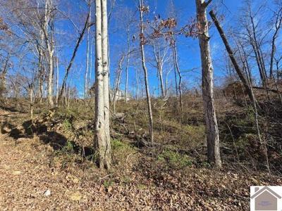 360 Lakeshore Rd