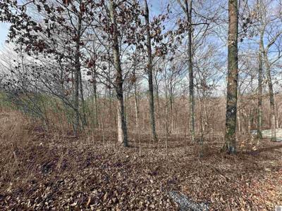 Lot 29 Knob Lane