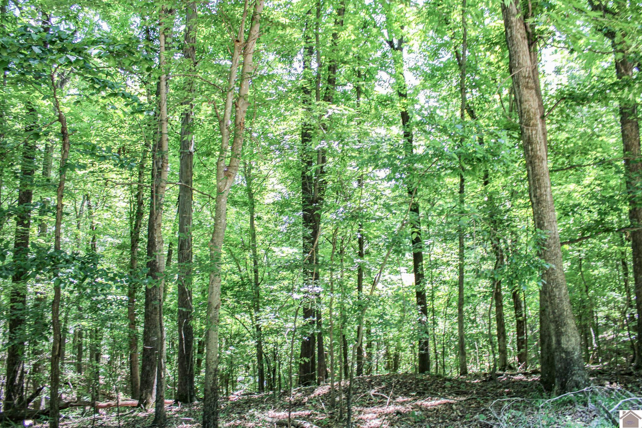 Image 3: Image 3