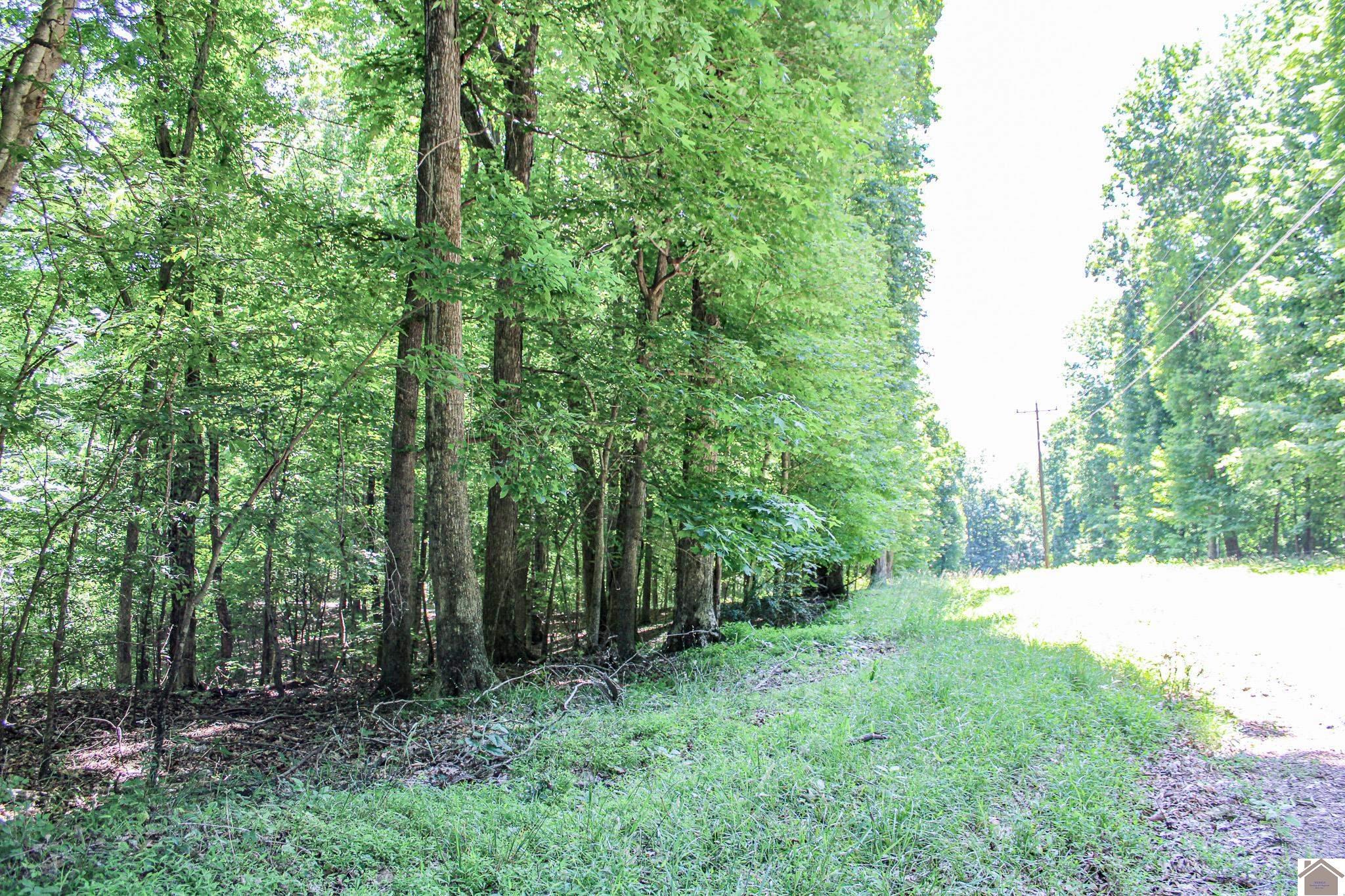 Image 4: Image 4