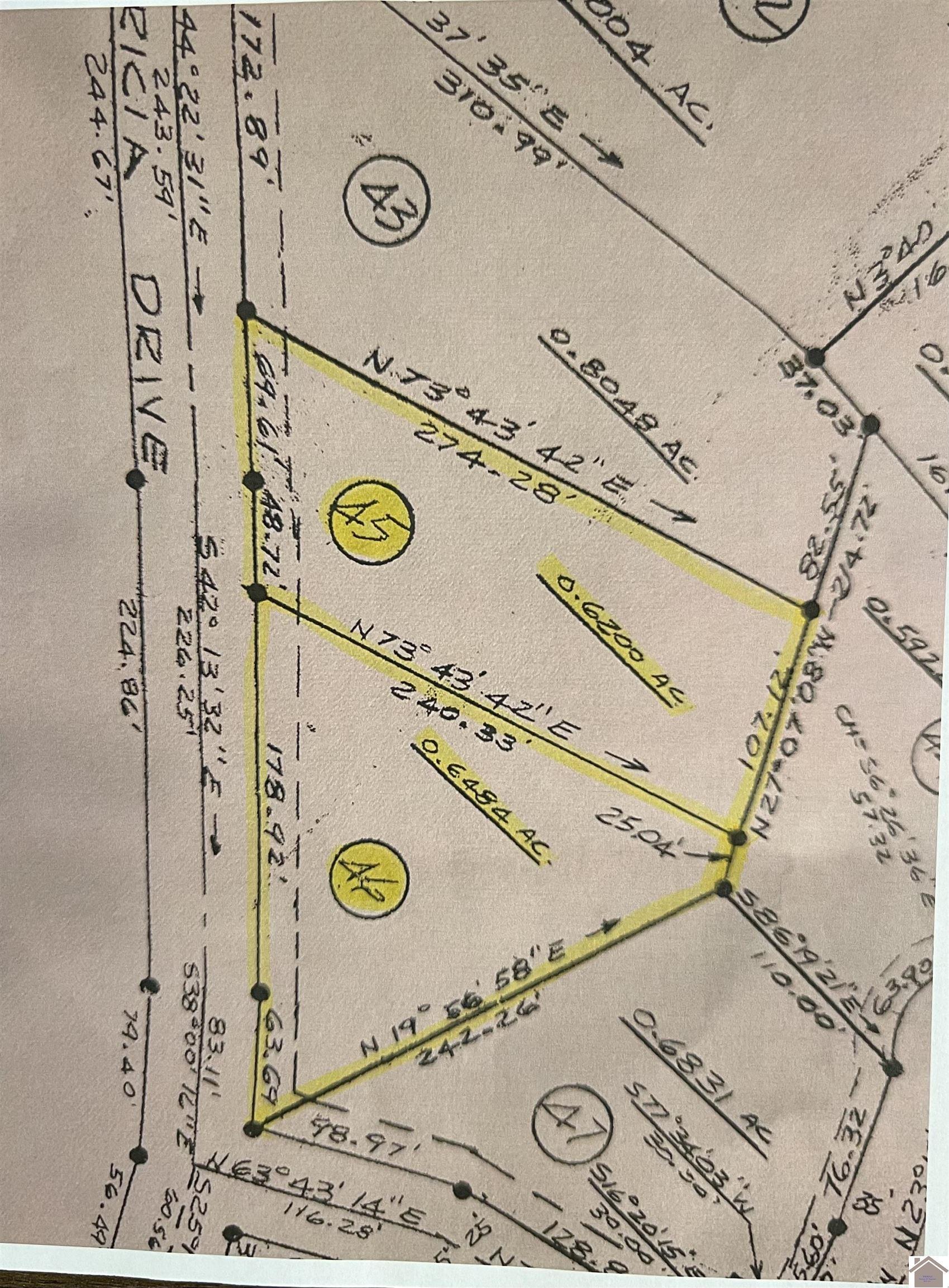 Image 4: Image 4