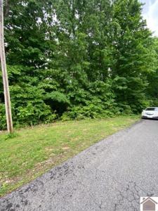 0000 Driftwood Estates Lot #54