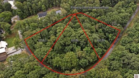 Champion Hills Lots 81,82,83