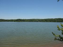 000 Buddy's Bay Ln