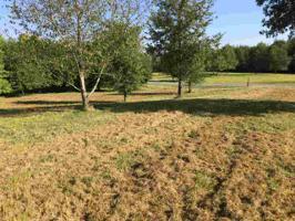Lot 28 Old Rockcastle Road
