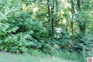 LOT 47 BLUEGRASS HEIGHTS