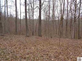 216 red bird Drive (lot # 300)