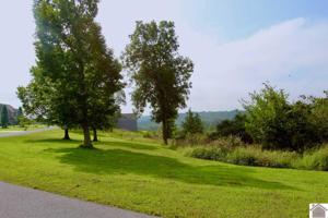 Lot 4 Rose Lane