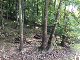 Lot 31 Grandview Drive-Woodfield Estates