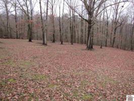 277 Sirls Rd