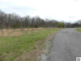 Lot #79B Waterfowl Road