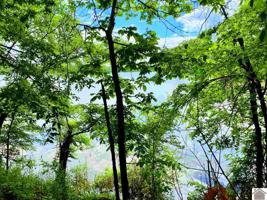 Lot 25 Kentucky Lake Drive