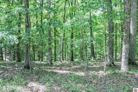0 Indian Hills Trail