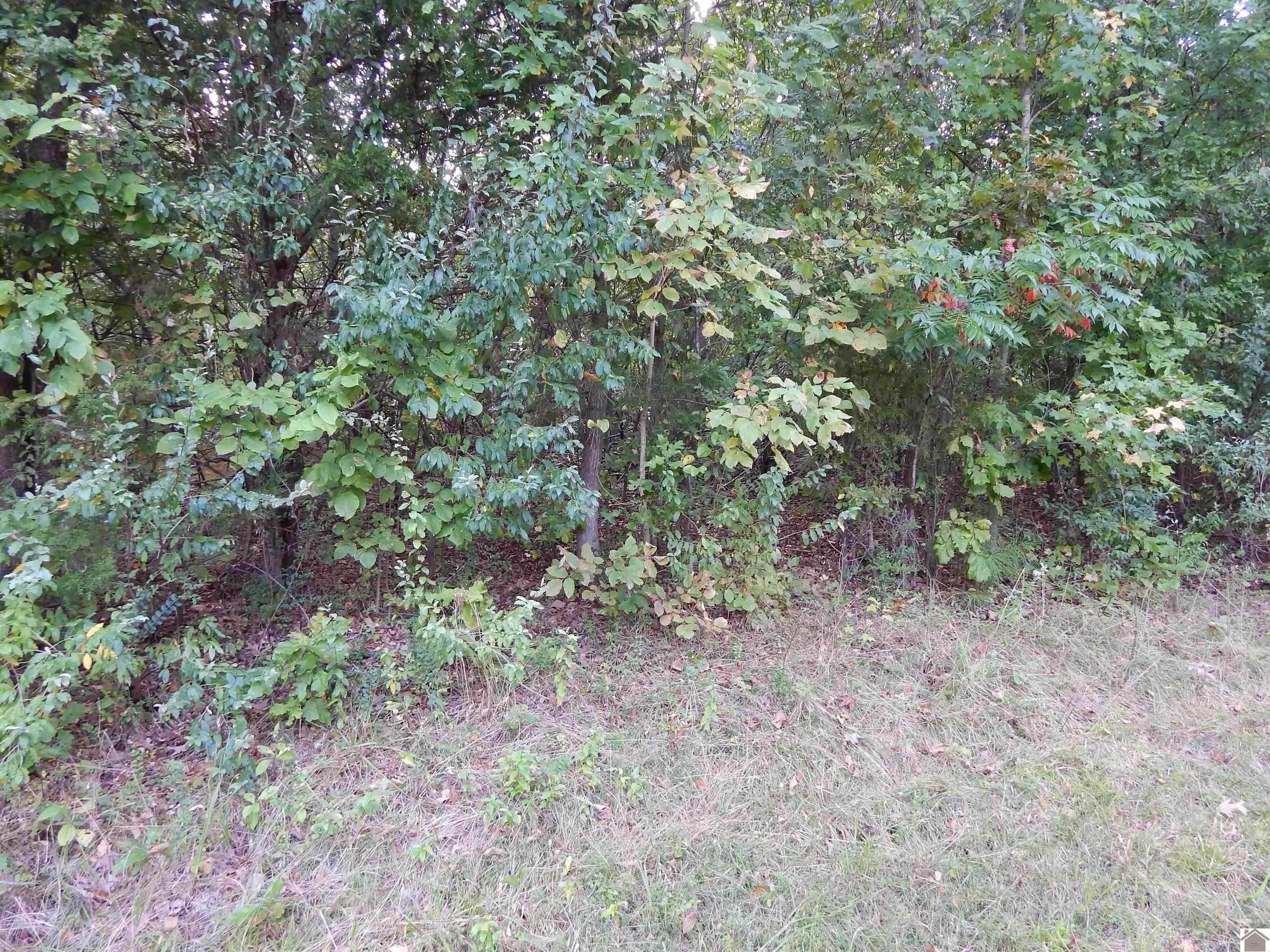 Image 2: Image 2