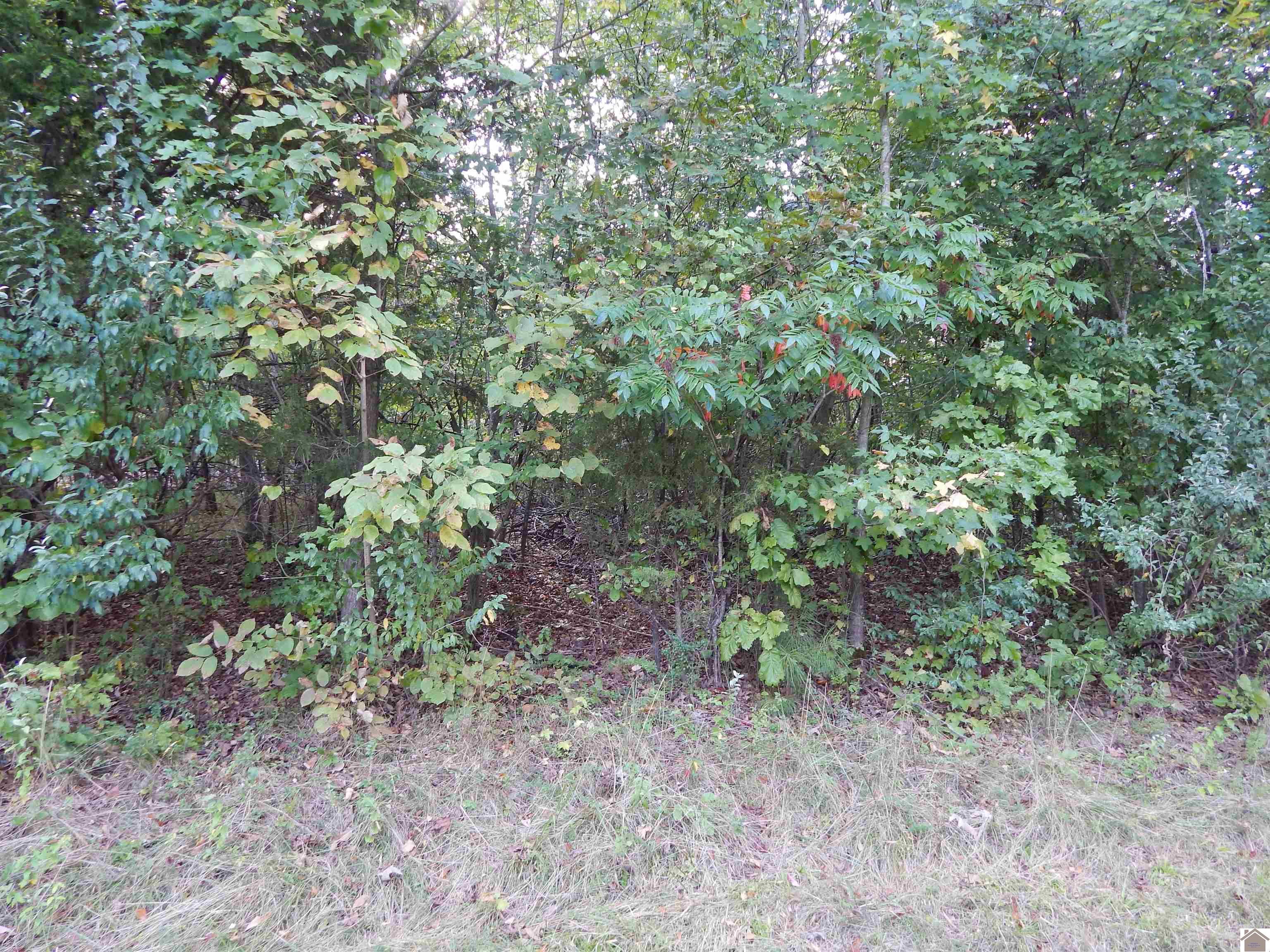 Image 3: Image 3