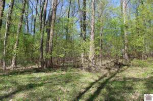 Lot 47 Forest Glenn Dr