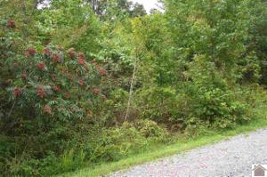 Lot 13 Paw Paw Ct.