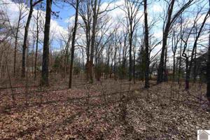 Lot 9 Lake Ridge Lane