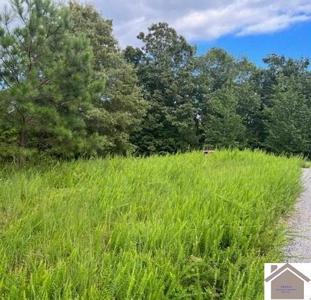 lot 45 & 46 Patricia Drive