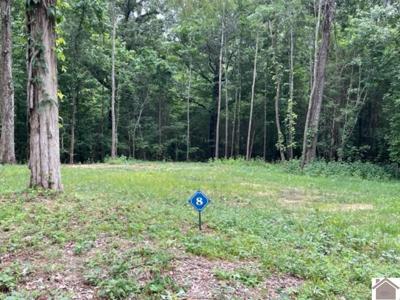 Lot 8 Boone Drive