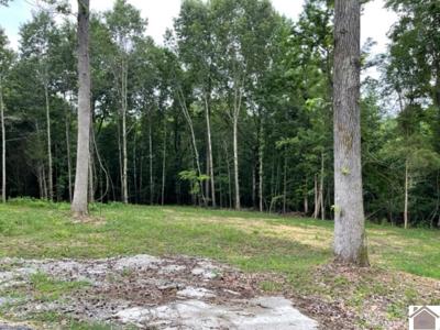 Lot 9 Boone Drive