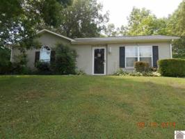 205 Terrace Lane