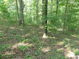 lot 987 Pine bluff subd