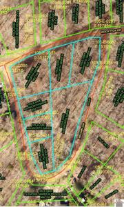 Lots 384-386 and 460-463 Brown Cir