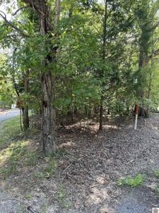 Lot 17 Edgewater