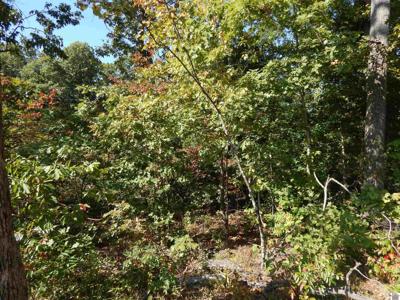 Lot 39 Wallace Cemetery Ln