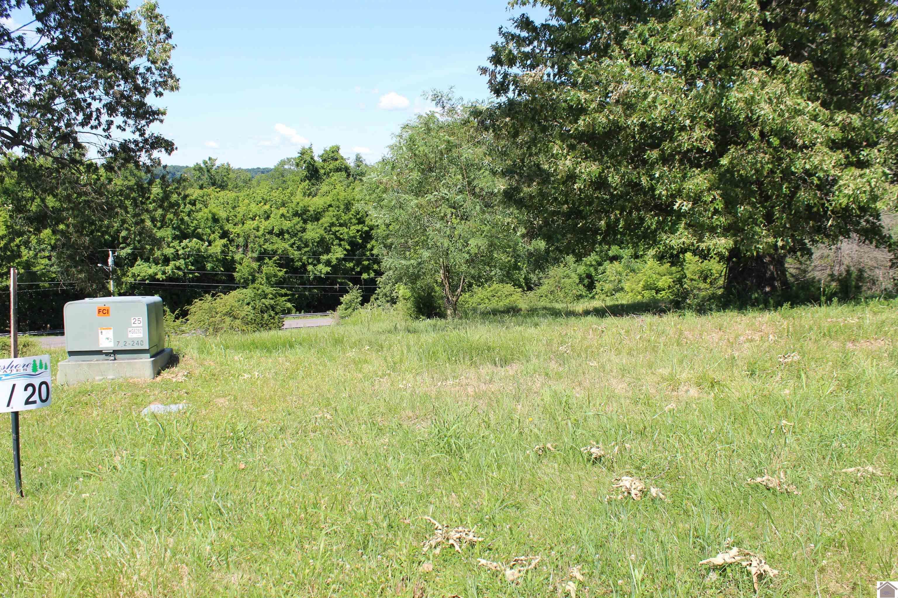 Image 3: Image 3