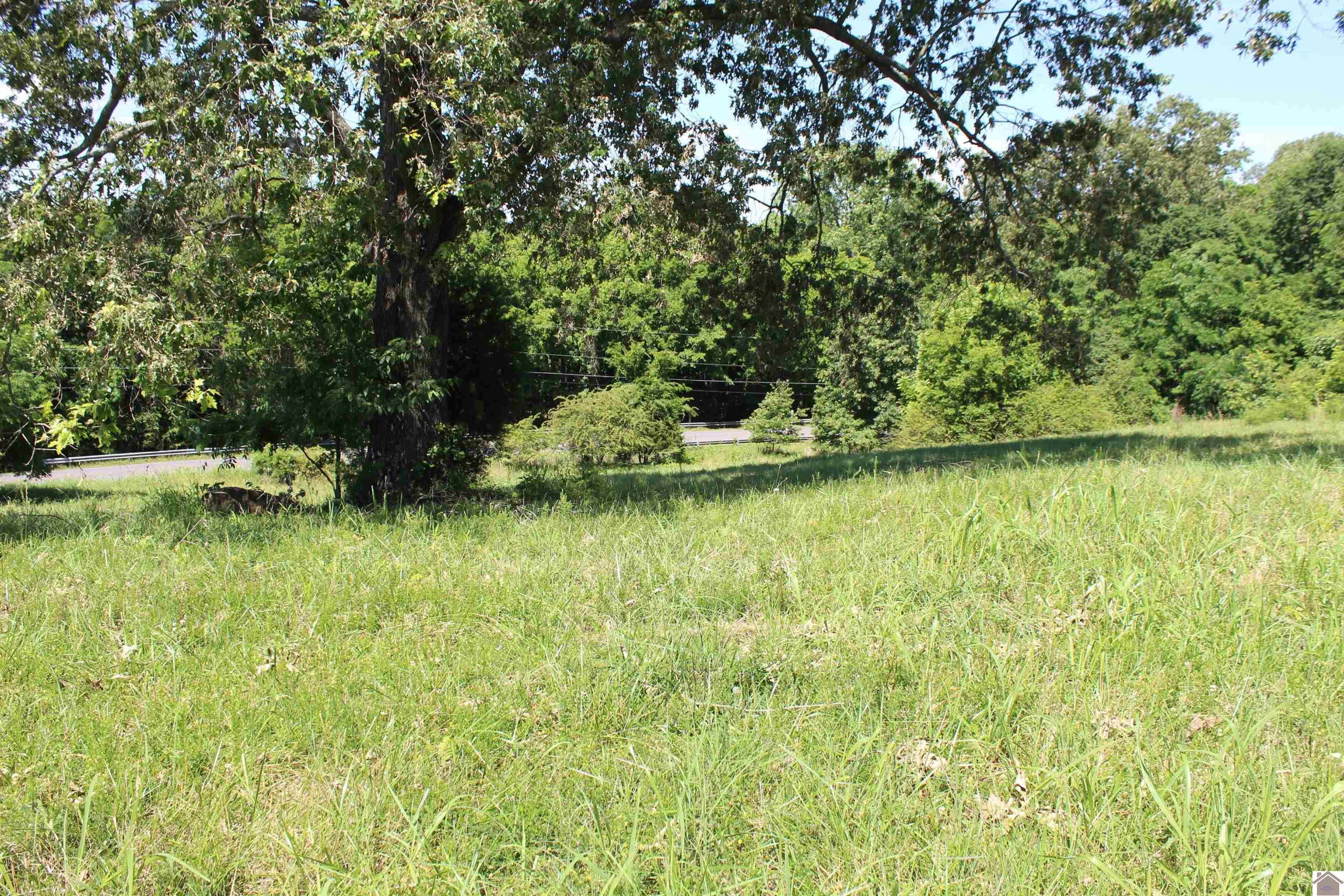 Image 2: Image 2
